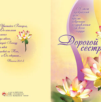 Дорогой Сестре2